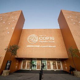 Location COP 16