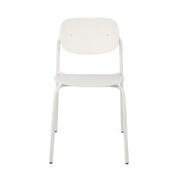 Rental Terra Chair